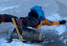 Vuosi 2021 vesillä kuukausi kuukaudelta