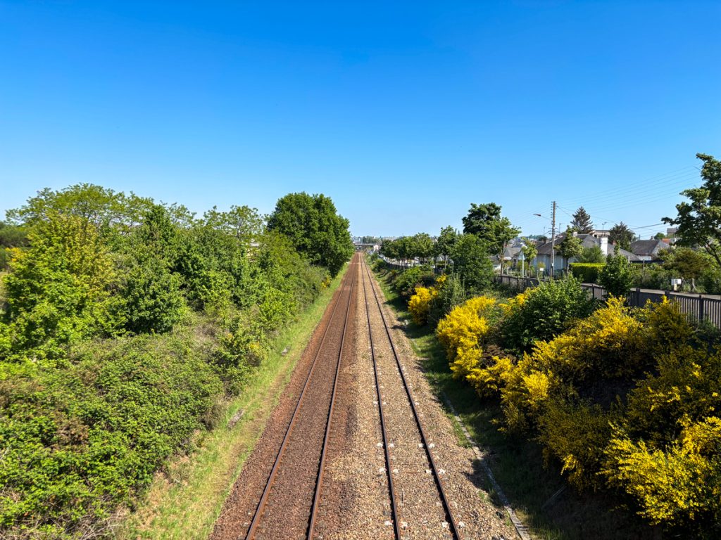 Two tracks, sunny skies, and a clear horizon.